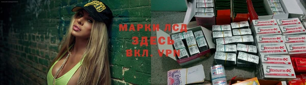 трава Аркадак
