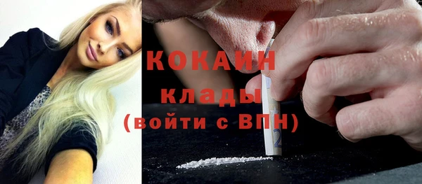 трава Аркадак