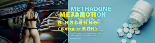 сатива Арсеньев