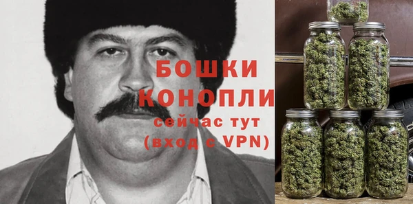 сатива Арсеньев