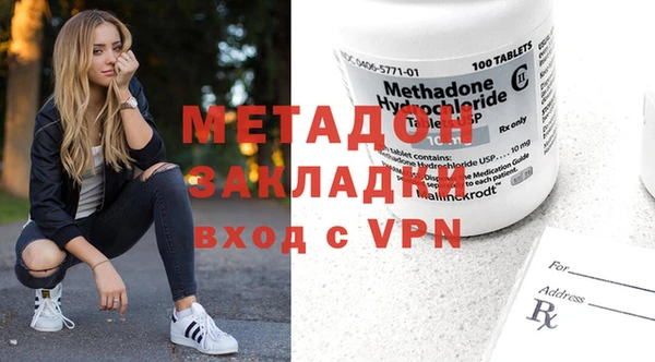 прущие грибы Ельня