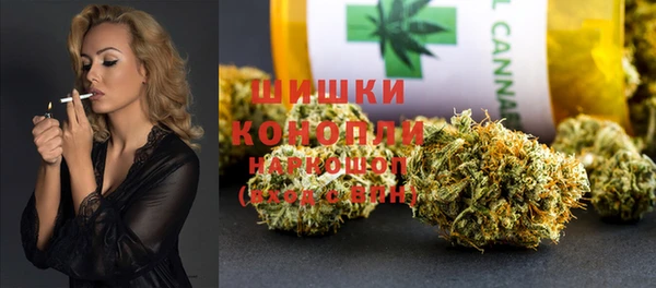 сатива Арсеньев