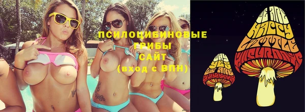 сатива Арсеньев