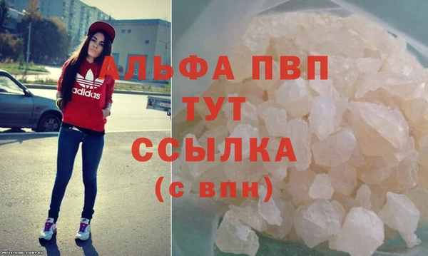 сатива Арсеньев