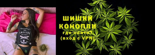 трава Аркадак