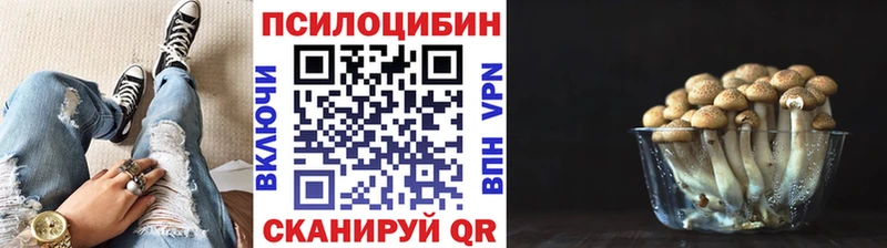 Псилоцибиновые грибы мицелий Мензелинск