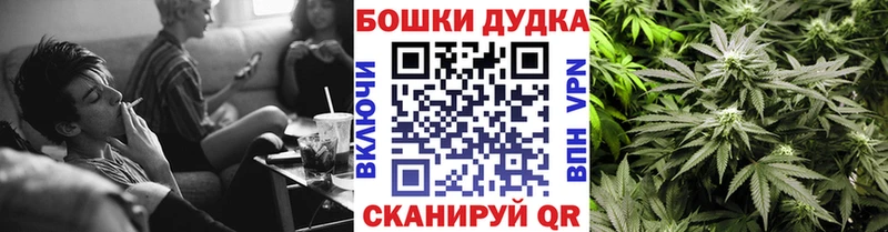 Каннабис ГИДРОПОН  где найти наркотики  Мензелинск 